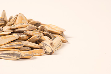 Image showing Sunflower seeds