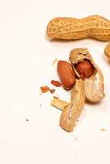 Image showing Peanut background