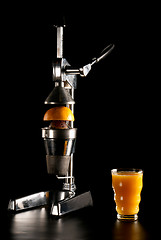 Image showing Juicer