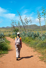 Image showing Hiking