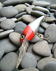 Image showing fishing bait