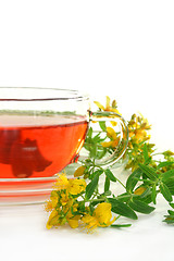 Image showing St. John's Wort Tea