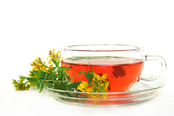 Image showing St. John's Wort Tea