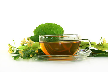 Image showing Linden flower tea