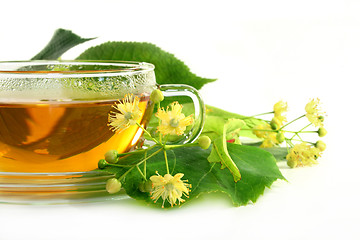 Image showing Linden flower tea