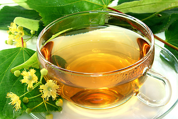 Image showing Linden flower tea