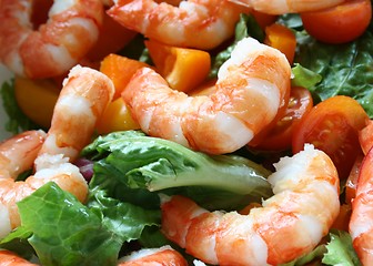 Image showing Shrimp Salad