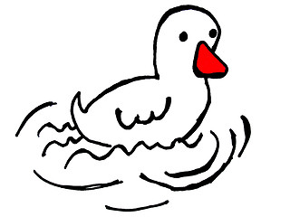 Image showing duck