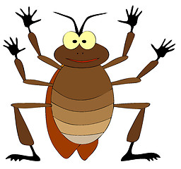 Image showing cockroach