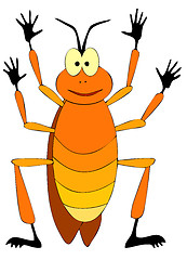 Image showing Cockroach