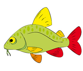 Image showing fish