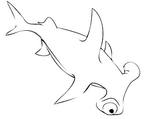 Image showing shark