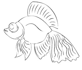 Image showing fish