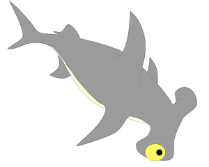 Image showing shark