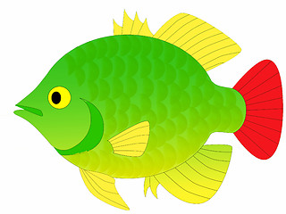 Image showing fish