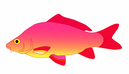 Image showing pink carp