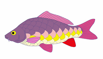 Image showing carp