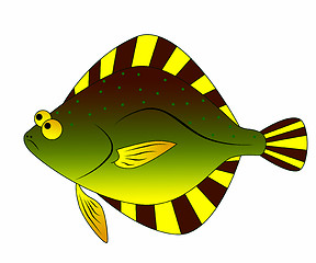 Image showing flounder