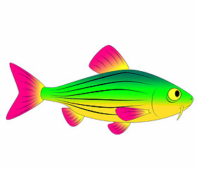 Image showing colorful fish