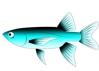 Image showing fish