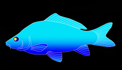 Image showing blue carp