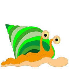 Image showing Sea snail