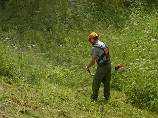 Image showing Man cutting high grass