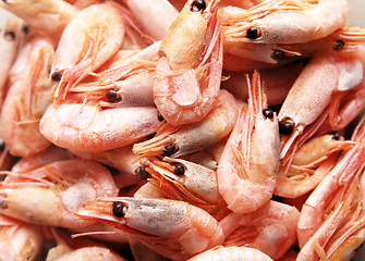 Image showing Unpeeled prawns
