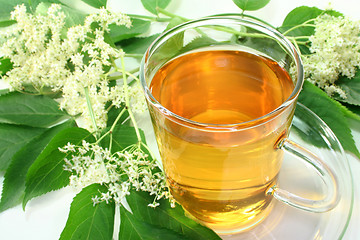 Image showing Elderflower tea