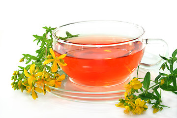 Image showing St. John's Wort Tea