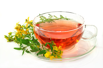 Image showing St. John's Wort Tea