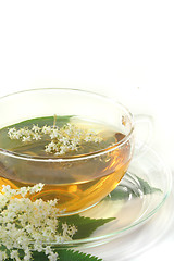 Image showing Elderflower tea