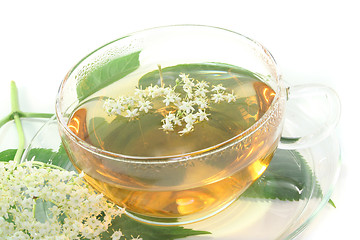 Image showing Elderflower tea