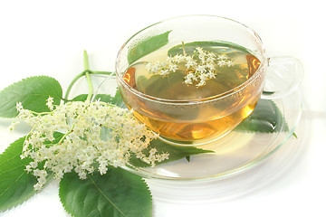 Image showing Elderflower tea