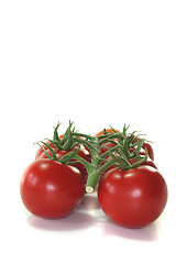 Image showing Tomatoes