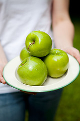 Image showing Green juicy apples