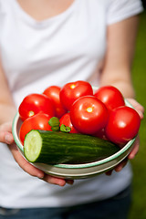 Image showing Fresh tomatoes and cucumber