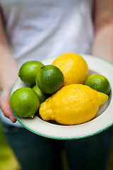 Image showing Lemon and lime on a plate