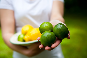 Image showing Lemon and lime on a plate