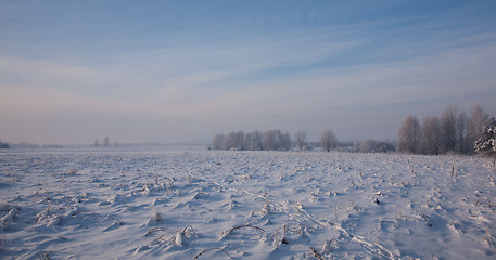 Image showing Snow covered field in sun  just after blizzard 