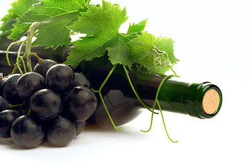 Image showing bottle red wine with grape and leafs 