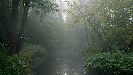 Image showing Autumnal misty early morning by forest river