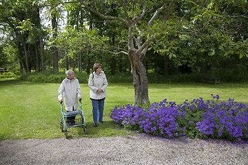 Image showing Active seniors in park