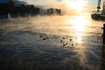 Image showing Morning fog by the coast.