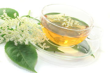 Image showing Elderflower tea