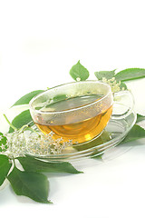 Image showing Elderflower tea