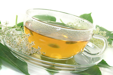 Image showing Elderflower tea