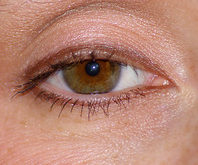 Image showing Eye