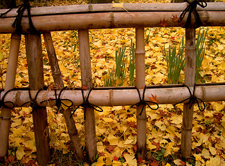 Image showing Autumn Japanese Fence