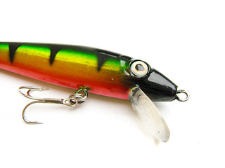 Image showing beautiful fishing bait